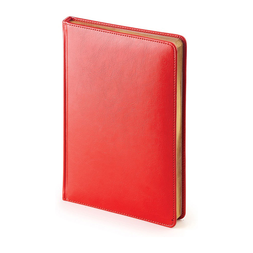 Ежедневник недатированный "Sidney Nebraska", А5, 272 страницы, красный