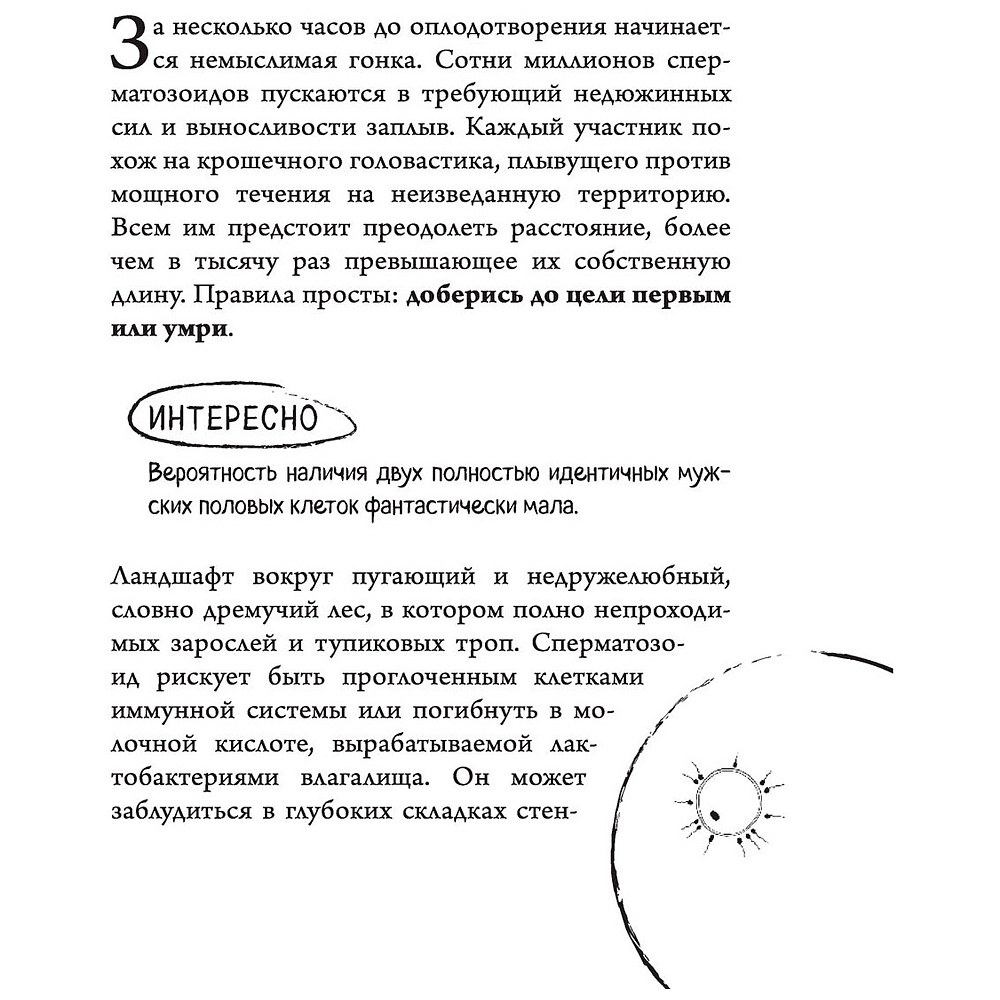 Книга "280 дней до вашего рождения. Репортаж о том, что вы забыли, находясь в эпицентре событий", Вестре К. - 8