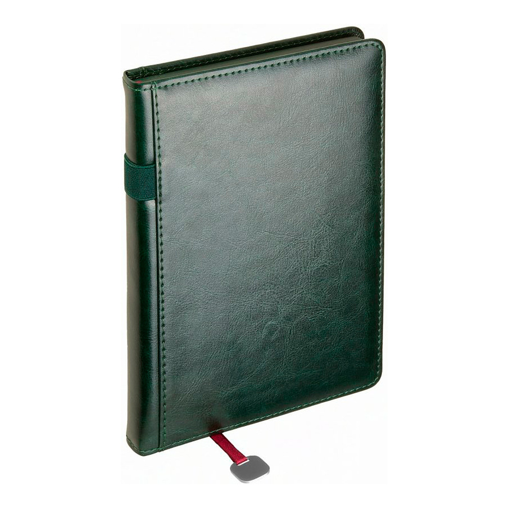 Ежедневник недатированный "Polo", А5, 320 страниц, зеленый - 2