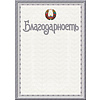 Грамота С275, А4, 250 г/м2 - 10