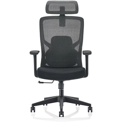 Кресло для руководителя SitZone U-063A сетка, черный - 2