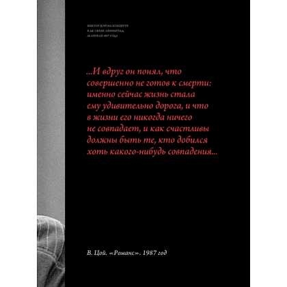 Книга "Виктор Цой. Смерть стоит того, чтобы жить, а любовь стоит того, чтобы ждать", Виталий Калгин - 6