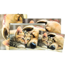 Папка-конверт на кнопке "Friendship", А5,  разноцветный