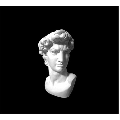 Гипсовая модель "Давид. Микеланджело" - 2