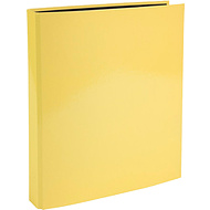 Папка на кольцах 