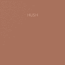 Блокнот "Hush.5", A5, 80 листов, в клетку, коричневый
