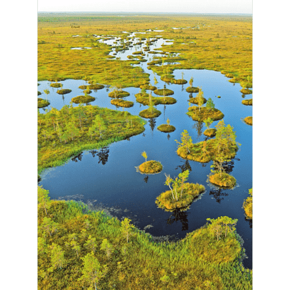 Книга "Завораживающая Беларусь. Путешествие по уголкам страны, которые остаются в сердце", Светлана Гришкевич - 5