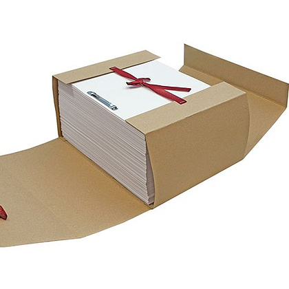 Папка-скоросшиватель с завязками, 120 мм, 4 завязки, крафт - 4