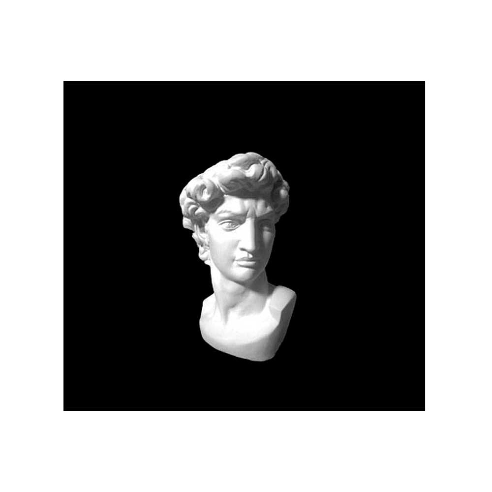 Гипсовая модель "Давид. Микеланджело" - 2