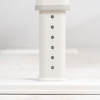 Комплект Ergosmart ученический Caravel S: стол регулируемый Caravel S, полка с подставкой для книг Wooden space S - 19