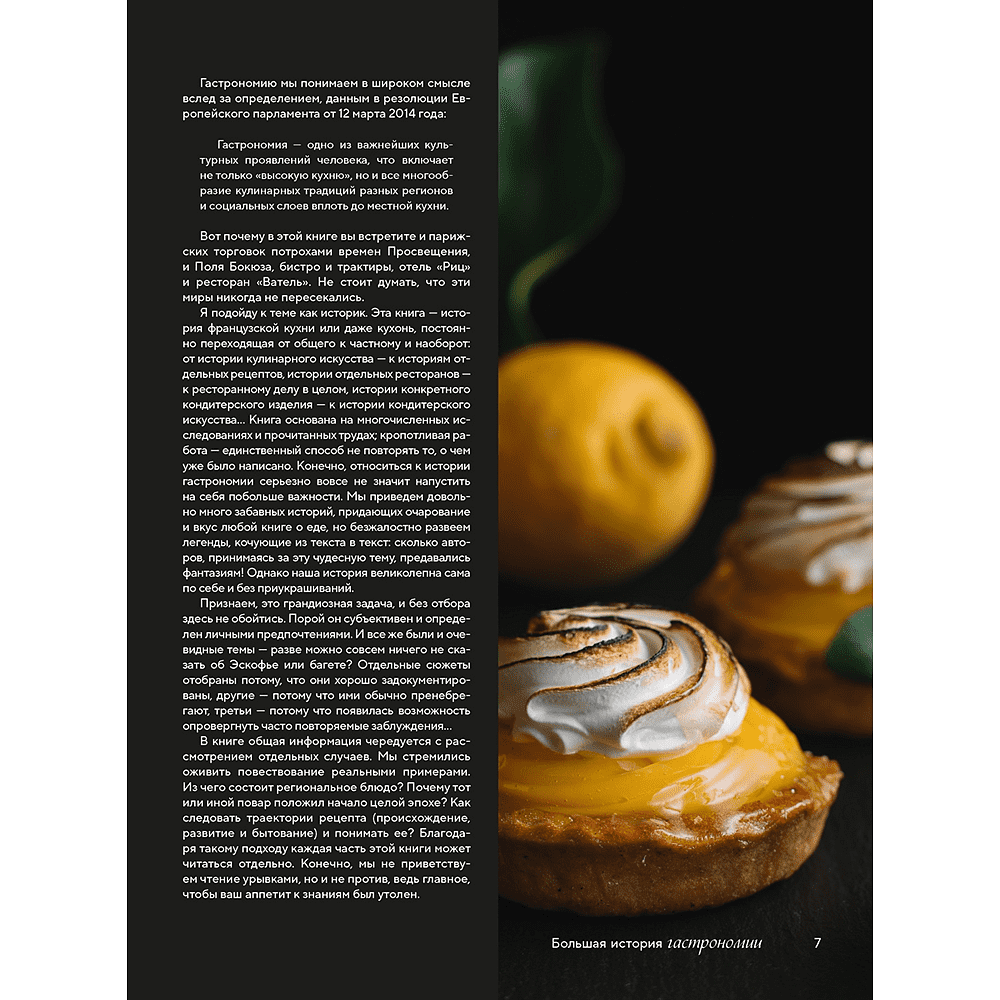 Книга "Большая история гастрономии. Кулинарное искусство Франции: от Средневековья до Новейшего времени", Лоик Бьенасси - 7