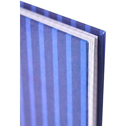 Книга канцелярская, A4, 100 листов, клетка, синий, красный - 5