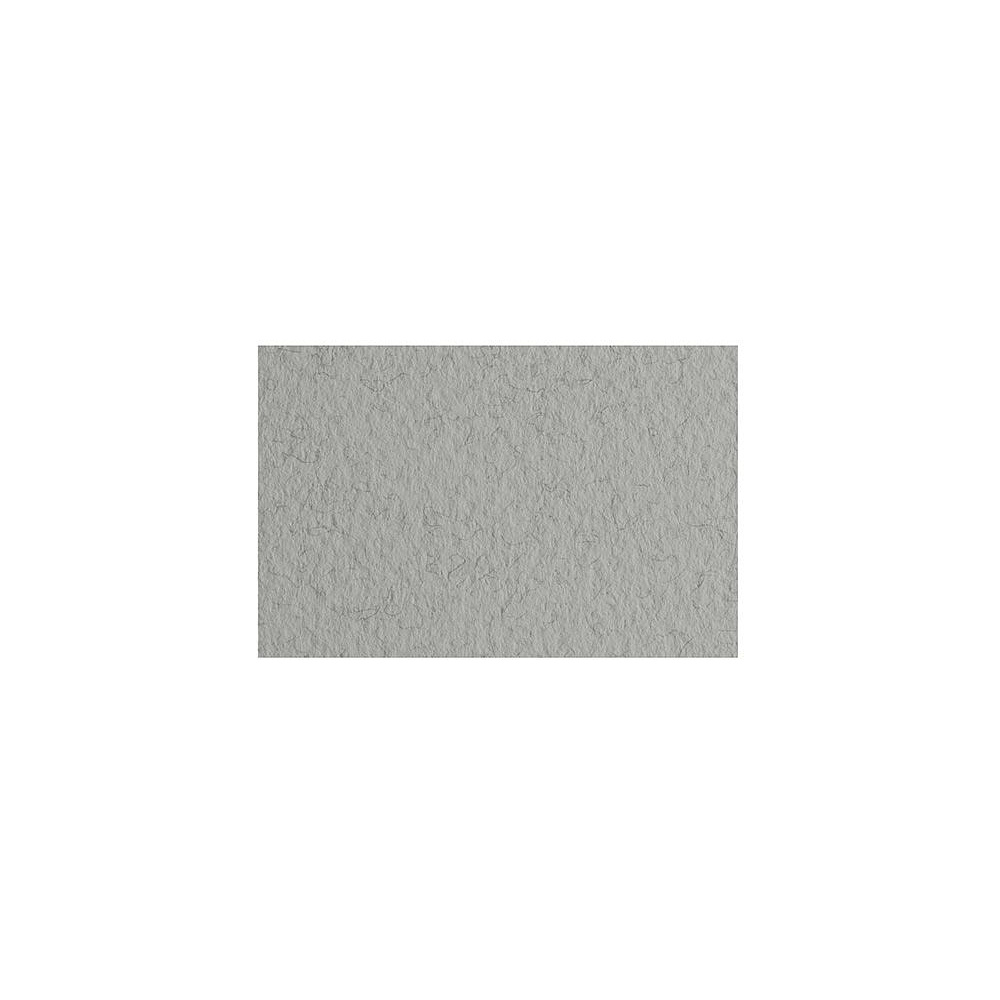 Бумага для пастели "Tiziano", 50x65 см, 160 г/м2, серый холодный