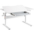 Стол Ergosmart E603 GREY, 1000х600х(540-760) мм