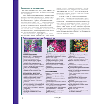 Книга "Библия садовых цветов. Однолетники, многолетники и луковичные. Советы по посадке, выращиванию и уходу" - 11
