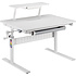 Стол Ergosmart E601S GREY, 900х600х(540-760) мм