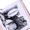 Книга-мини "Евгений Онегин", Александр Пушкин, 44х59 мм, ассорти - 7