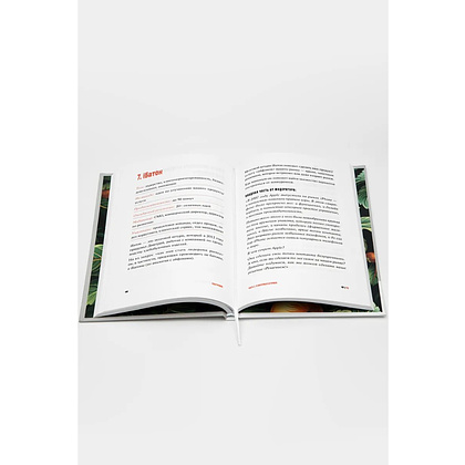 Книга "Поштурмим?", Игорь Манн, Дмитрий Турусин - 4