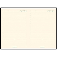 Ежедневник недатированный "Bridge", А5, 272 страницы, черный