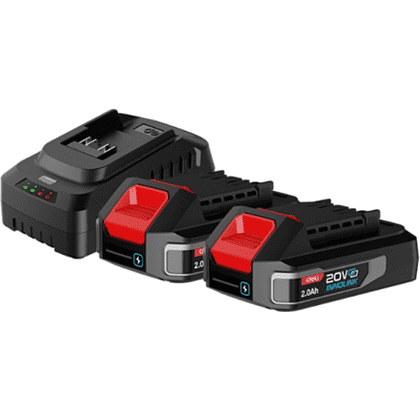 Комплект аккумуляторных батарей и зарядного устройства Deli RS EDE-CM20A2E, 2 АКБ, 2 А/ч, З/У 2А