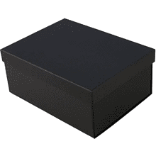 Коробка картонная, 220х160х95 мм