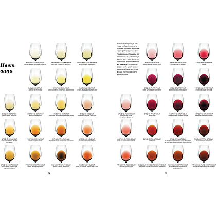 Книга "Wine Folly. Издание Магнум, детализированное", Мадлен Пакетт, Джастин Хэммек - 5