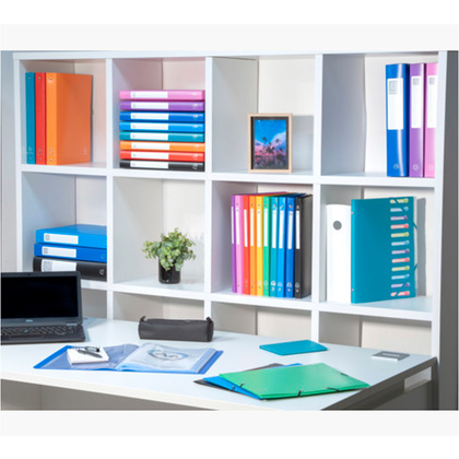 Папка c файлами "Exacompta", 60 карманов, ассорти - 14