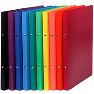 Папка на кольцах 