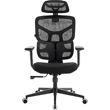 Кресло эргономичное EVERPROF Omega, Black, сетка, черный, металл, корпус черный