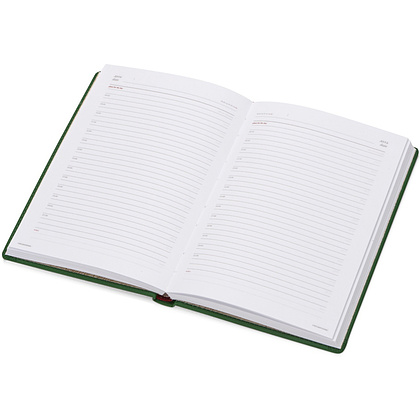 Ежедневник недатированный "Velvet", А5, 272 страницы, зеленый - 2