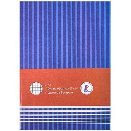 Книга канцелярская, A4, 100 листов, клетка, синий, красный - 2