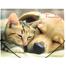 Папка на резинках "Friendship"