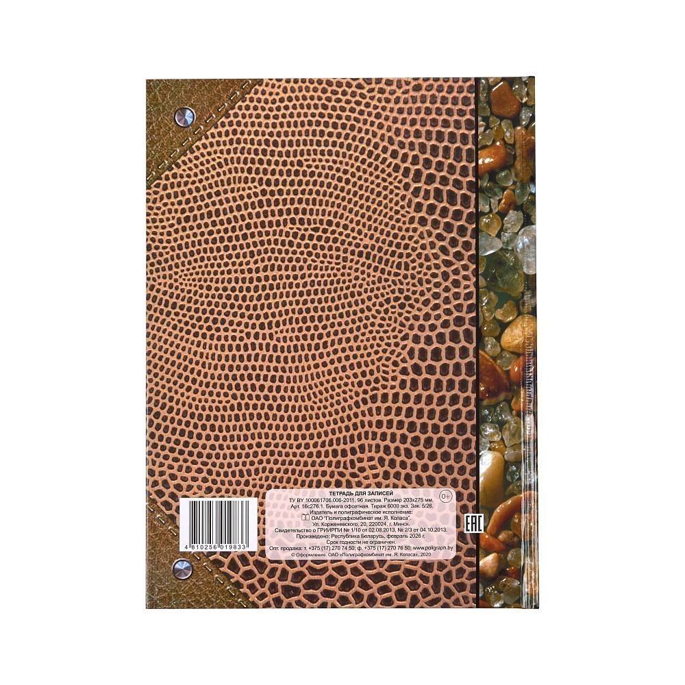 Книга канцелярская "Камешки", А4, 96 листов, клетка, коричневый - 5