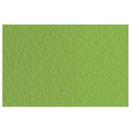 Бумага для пастели "Tiziano", А4, 160 г/м2, оливковый 