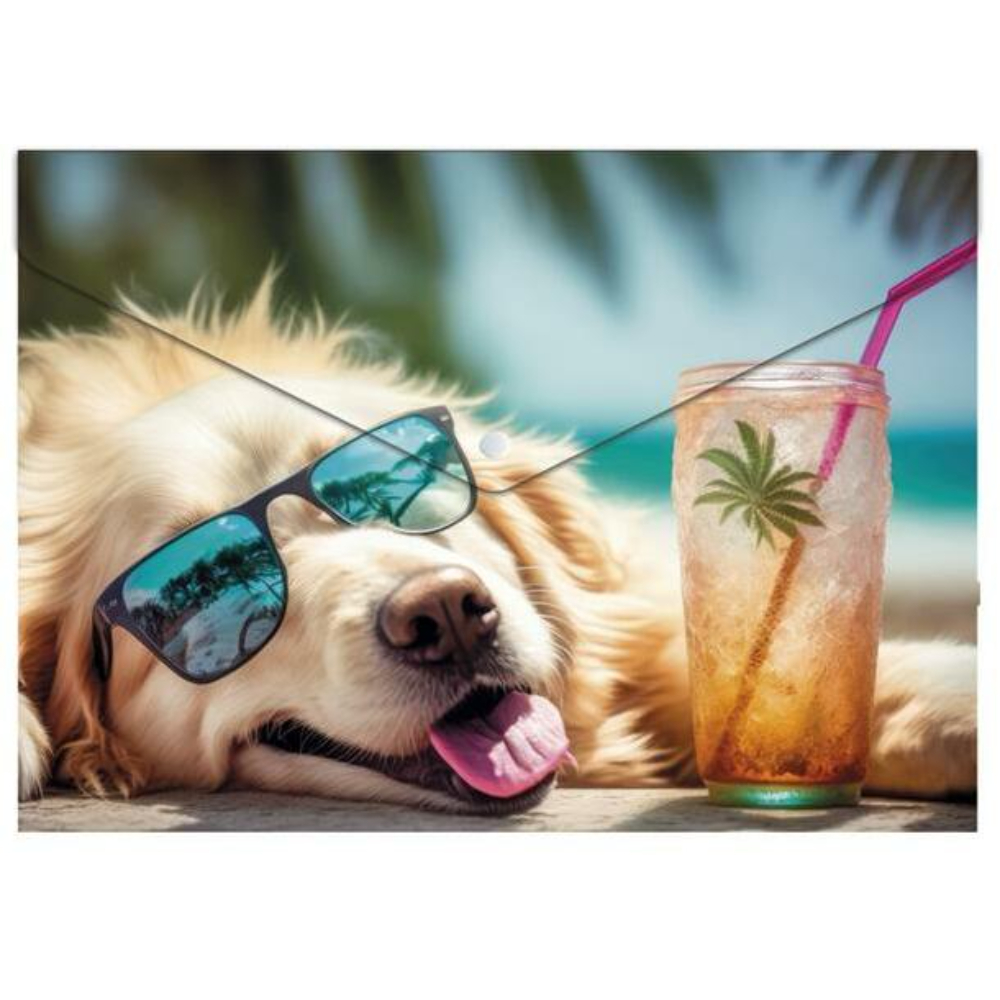 Папка-конверт на кнопке "Chillout dog", А5