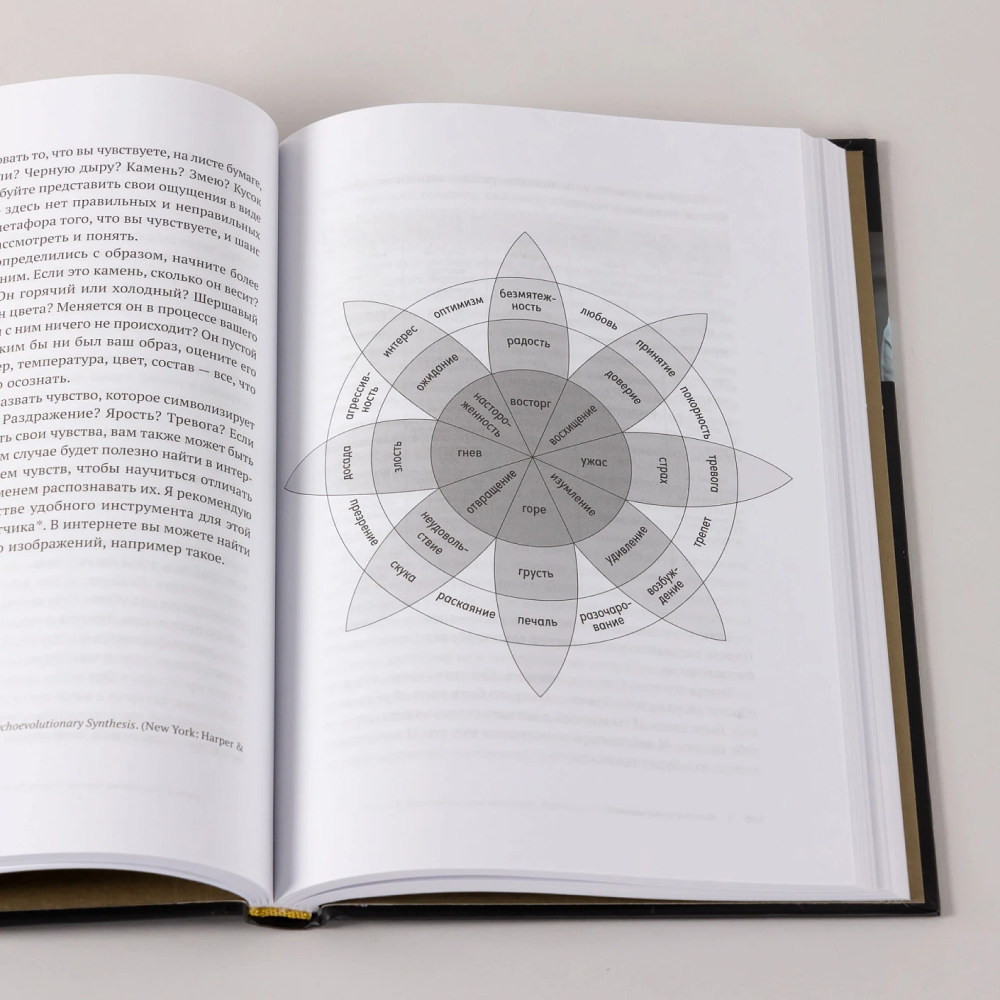 Книга "В плену у достижений: От выгорания к целостности", Степанчук Алина - 9