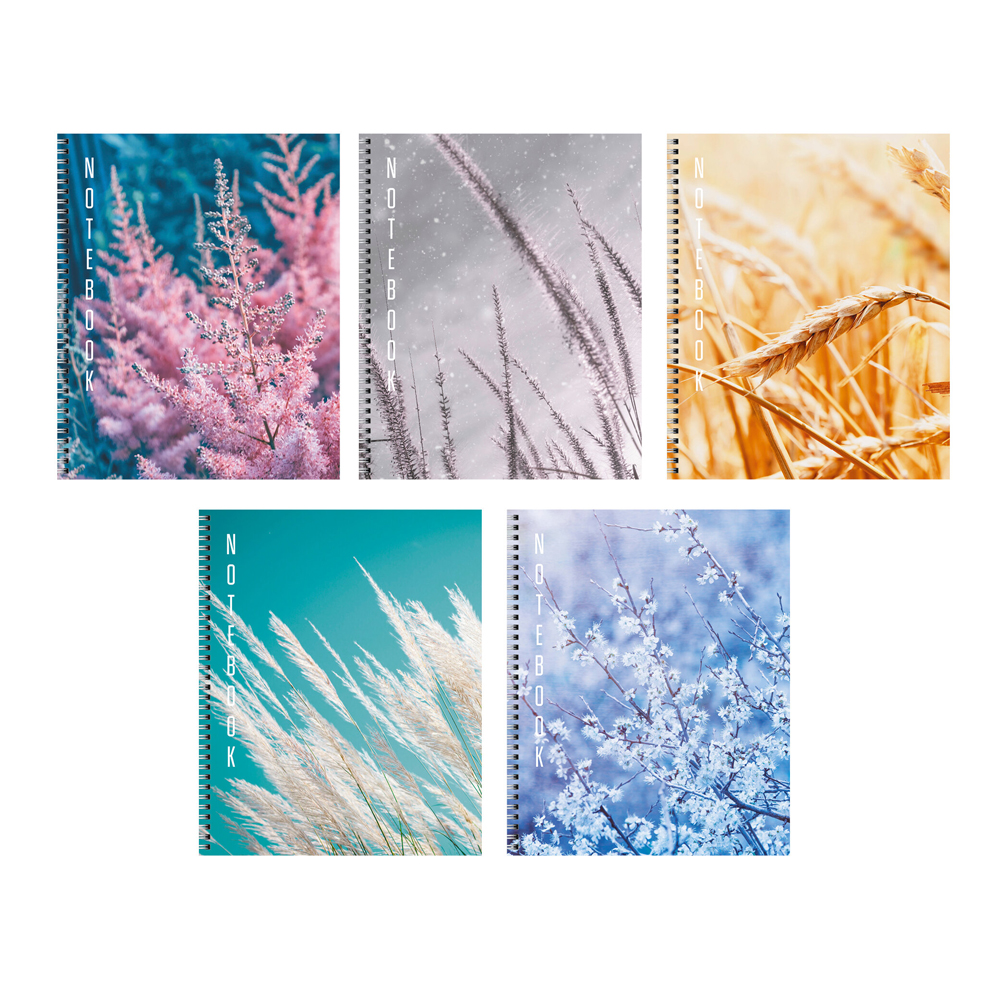 Тетрадь "Хрупкая красота"