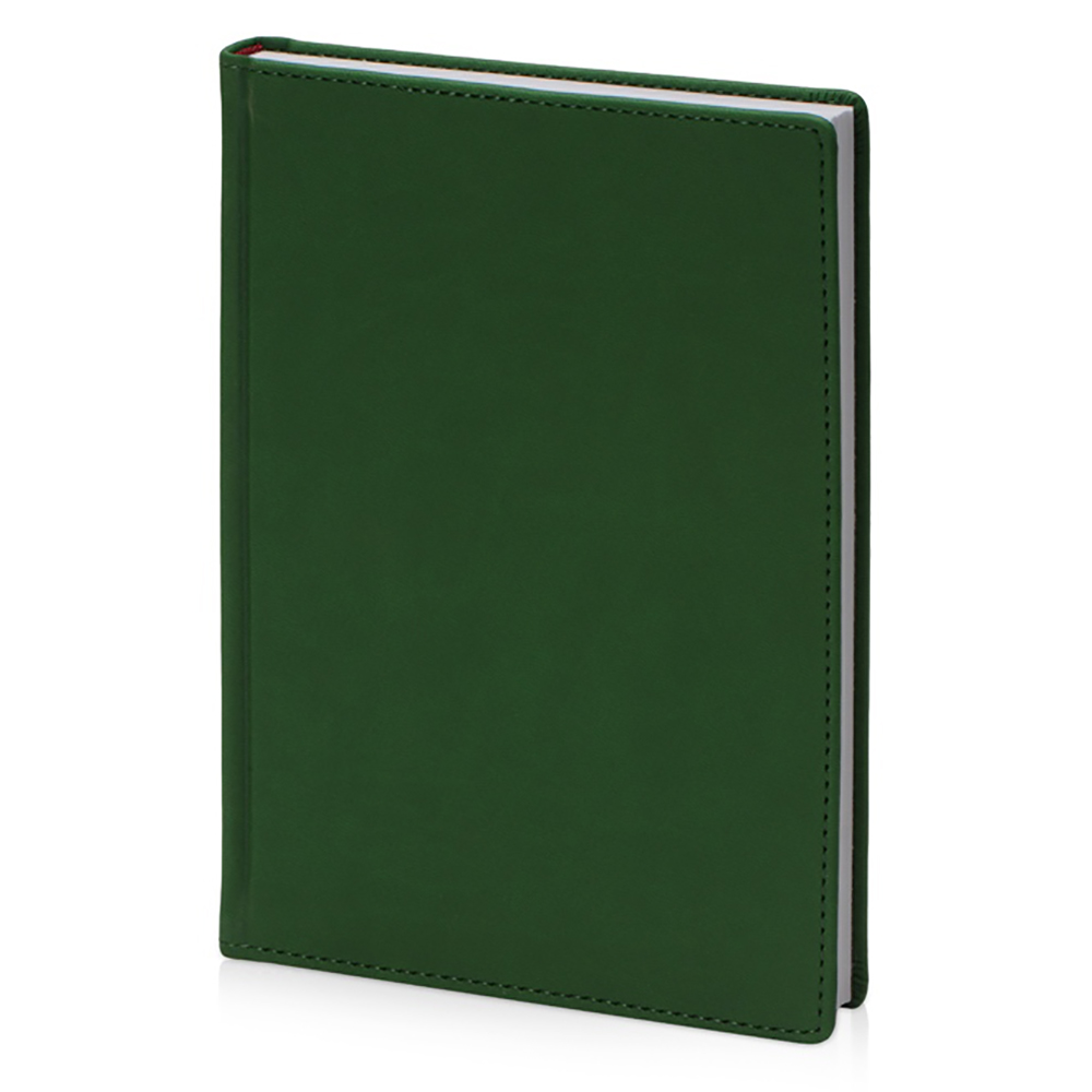 Ежедневник недатированный 