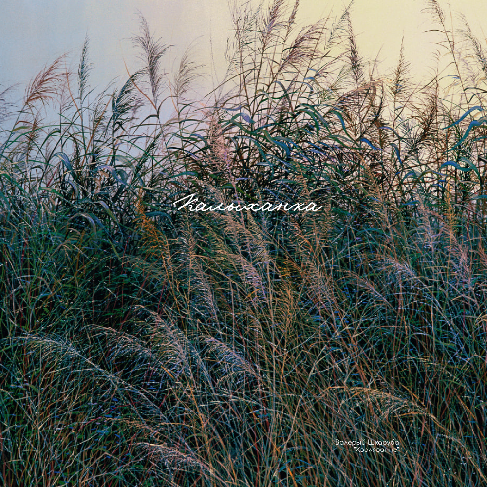 Обложка для паспорта "Волнение", Валерий Шкарубо, натуральная кожа, разноцветный