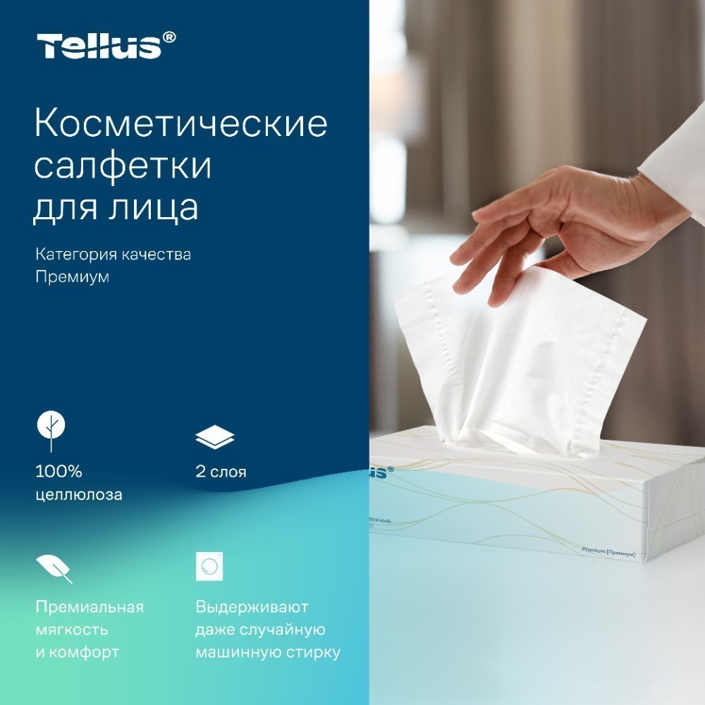 Салфетки косметические Tellus Премиум, 100шт/уп, FT1 - 4