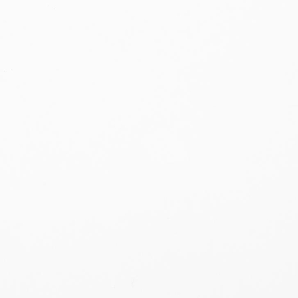 Краски акриловые Ладога, 100 белила цинковые, 100 мл., банка