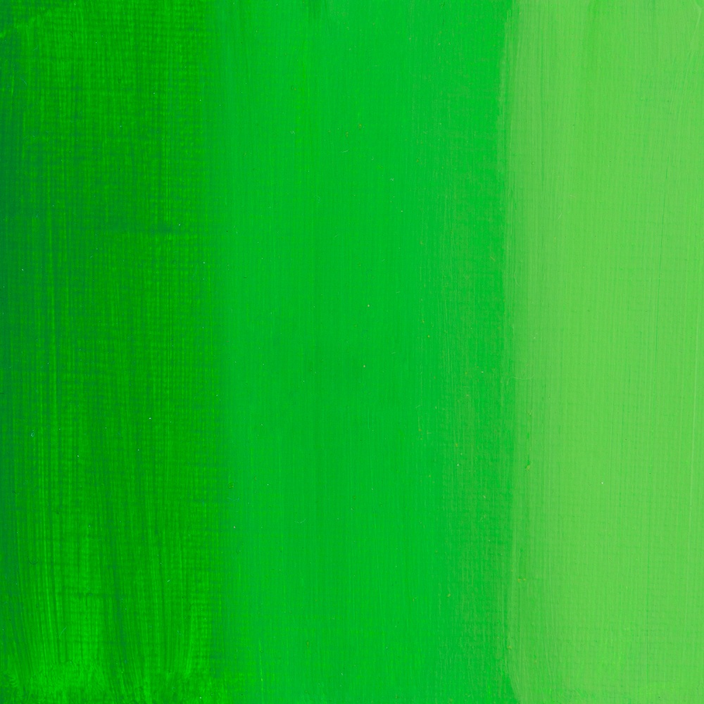 Краски акриловые "Сонет", 717 зеленая светлая, 120 мл, туба - 3