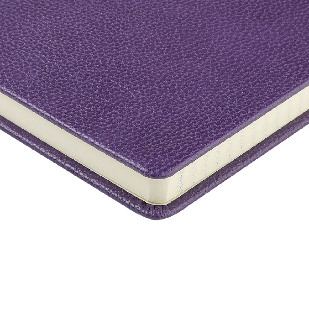 Ежедневник недатированный "Loft", А5, 272 страницы, фиолетовый - 4