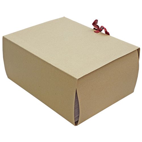 Папка-скоросшиватель с завязками