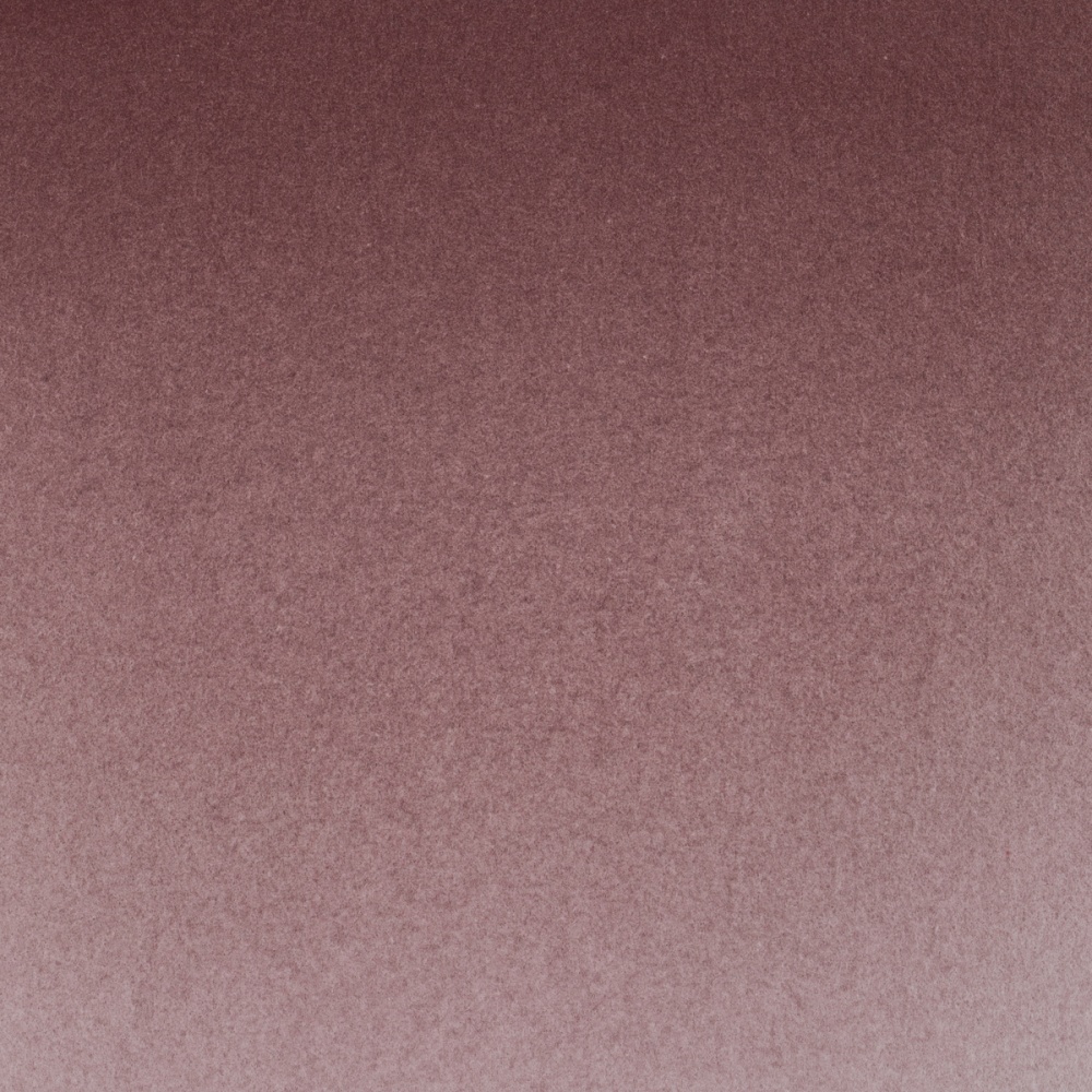 Краски акварельные "Белые ночи", 604 капут-мортуум, 10мл., туба - 3