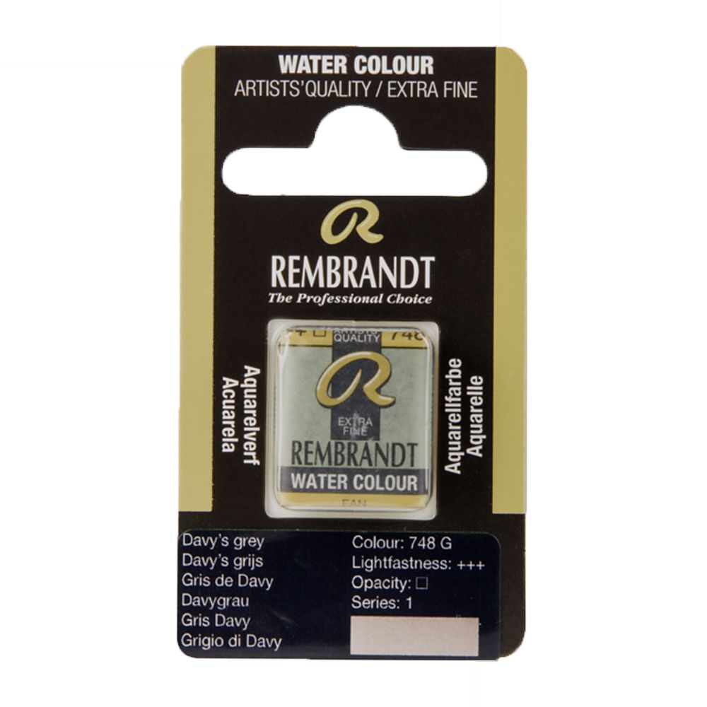 Краски акварельные "Rembrandt", 748 серый океан, кювета