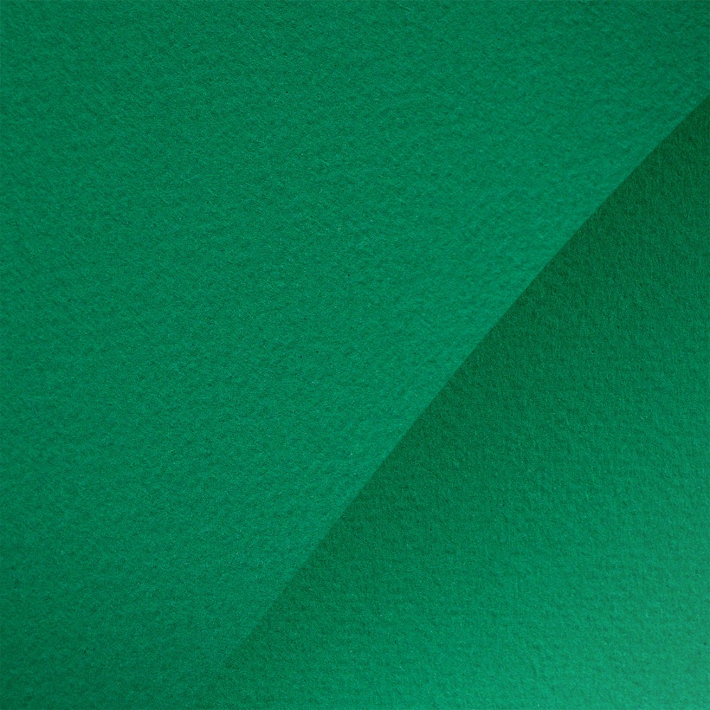 Бумага для пастели "Мастер-Класс", 50х65 см, 160 г/м2, зеленый