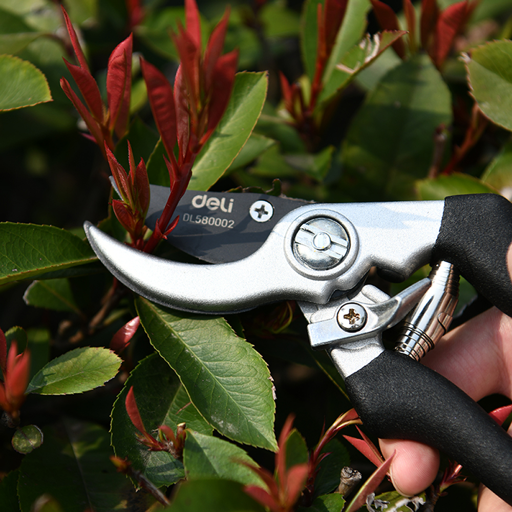 Набор садовых инструментов Deli GS EDL580002, 2 шт. - 6