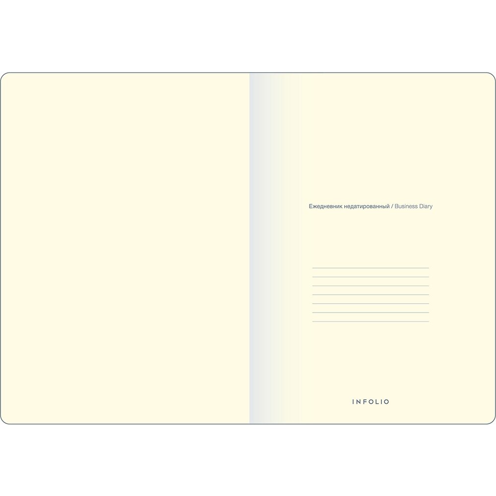 Ежедневник недатированный "Diary", А5, черный