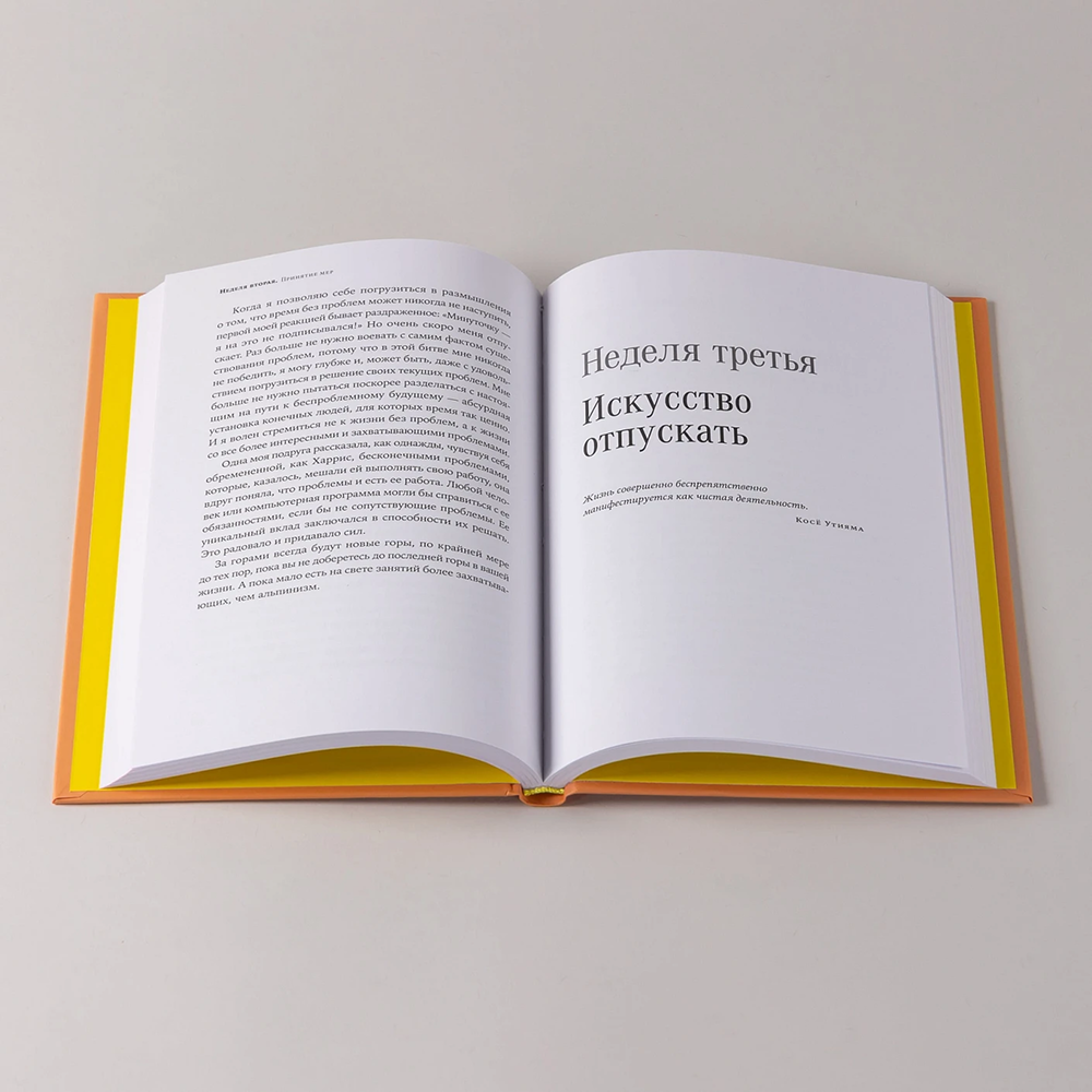 Книга "Радость неидеальной жизни. 28 дней на поиск своего пути", Оливер Беркман - 6